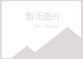 沙河口区山柳化学有限公司